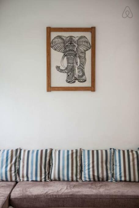 Adorable 1br In The Heart Of